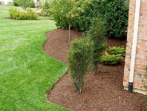  Tri Turf