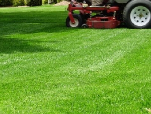 Pro Care Landscape Svc