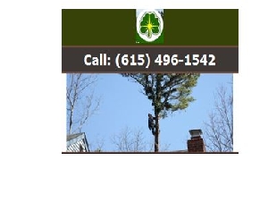 Kailys Tree Service