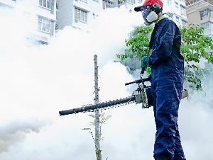 Pest Control