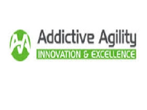 ADDICTIVE AGILITY