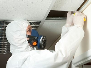 Asbestos Associates Inc