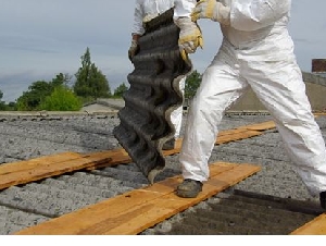 Asbestos Workers