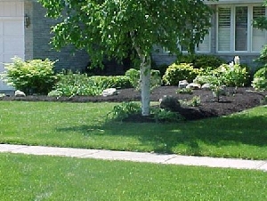 J C's Landscaping & Custom