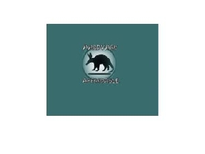 Aardvark Affordable Carpet Cleaning