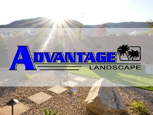 Advantage Landscape