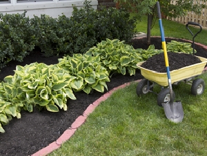 Landscaping