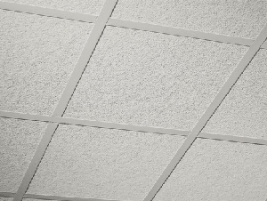 Accoustic Ceilings