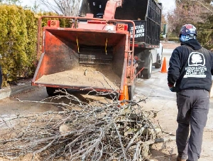 Progressive Tree Service