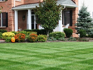 Robert Ott Landscaping
