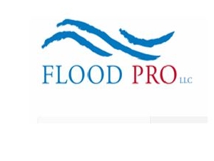 Flood Pro
