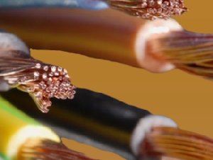 Whippco Electrical Company